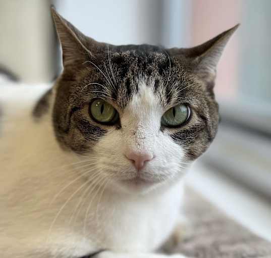 Photo of Tiny