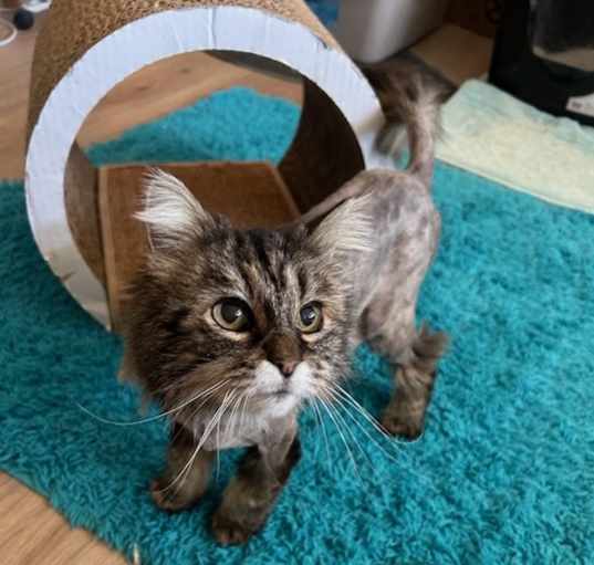 Photo of Hazel