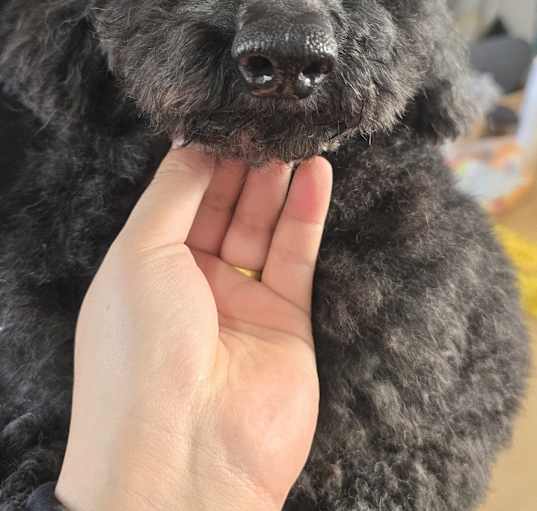 Photo of Betty