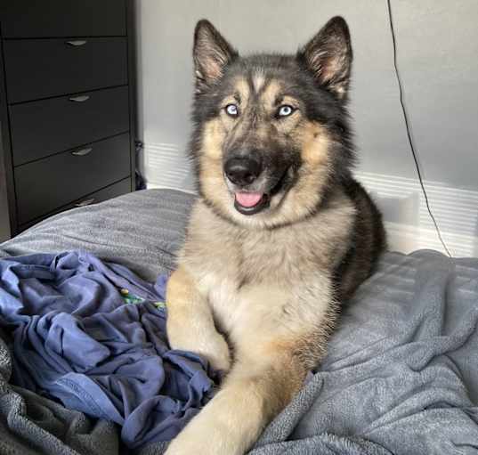 Photo of Arya