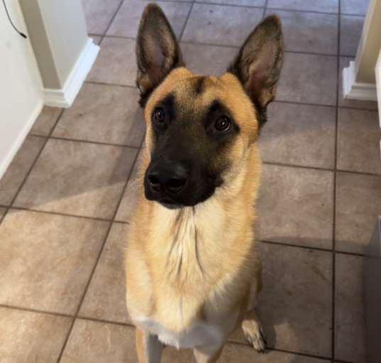 Photo of Captain
