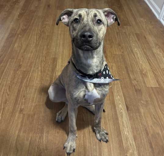 Photo of Oscar