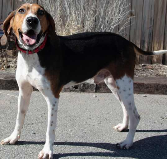 Photo of Luther