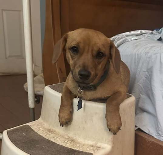 Photo of Jake