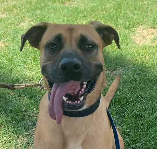 Photo of ROMEO
