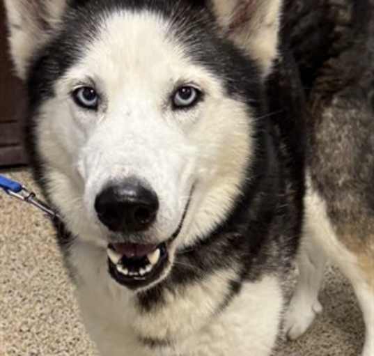 Photo of ZEUS