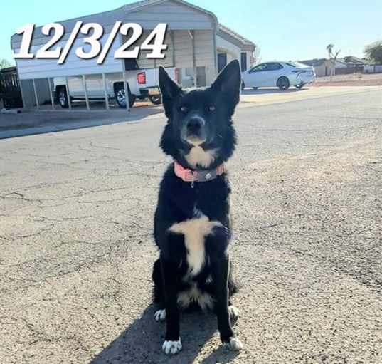 Photo of LUNA