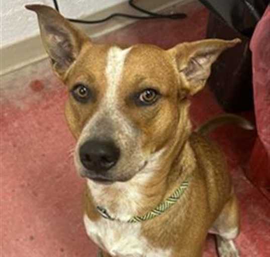 Photo of KETCHUP