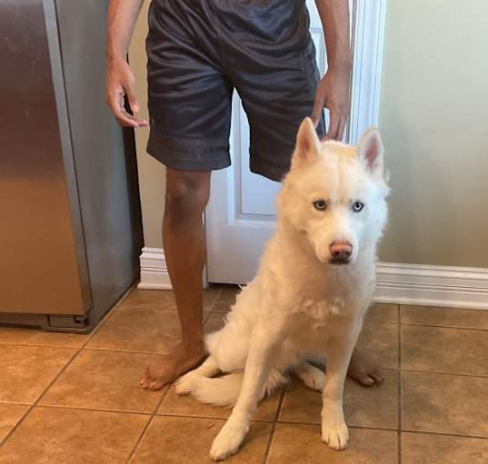 Photo of Ace