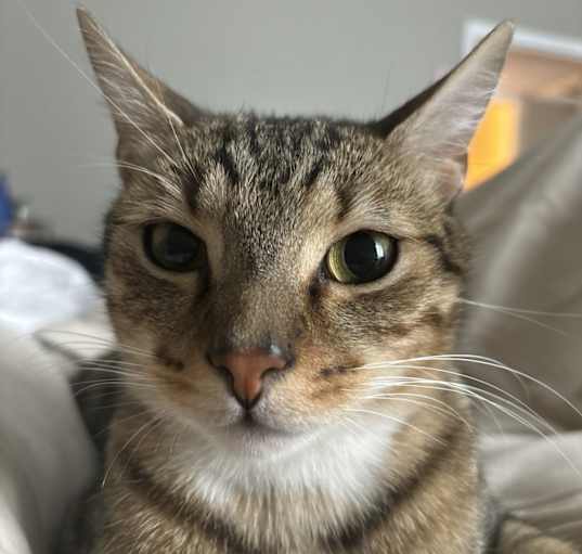 Photo of Juice
