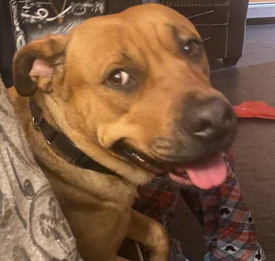 Photo of Lala -Delilah
