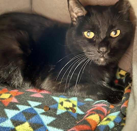 Photo of Coco
