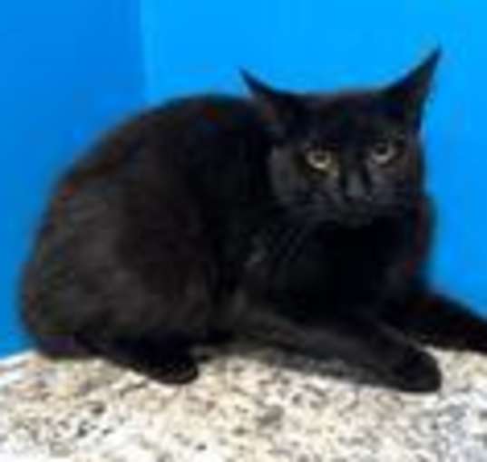 Photo of Fleurette