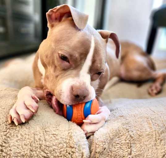 Photo of Dottie