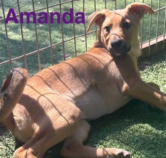 Photo of Amanda