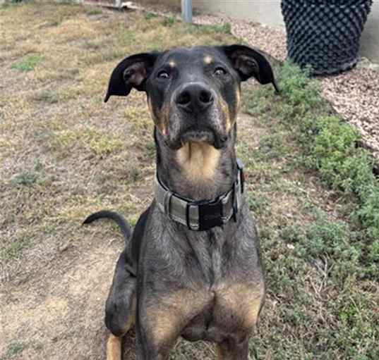 Photo of DEBO
