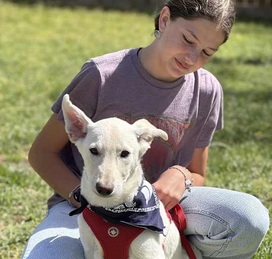 Photo of Emmett