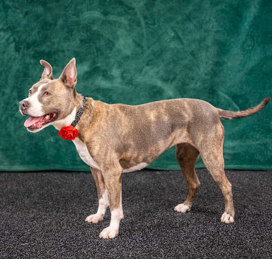 Photo of RILEY McPITTY