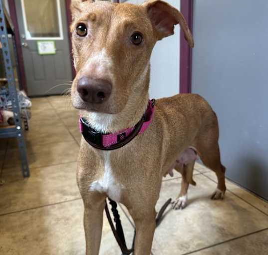 Photo of Athena