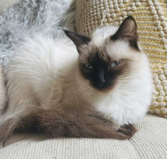 Photo of Sassy