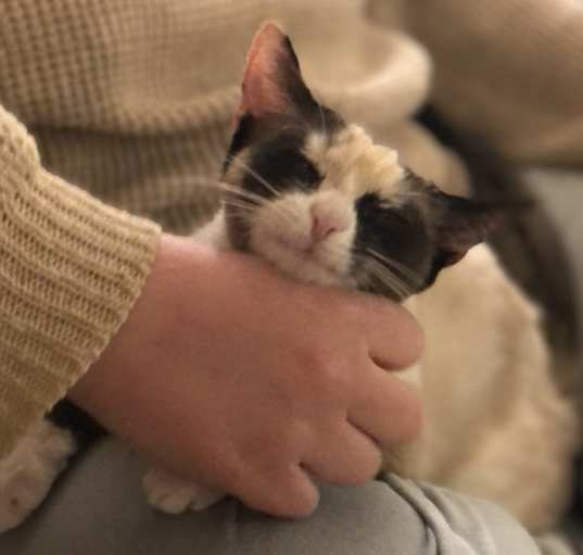 Photo of Opal and Maeve