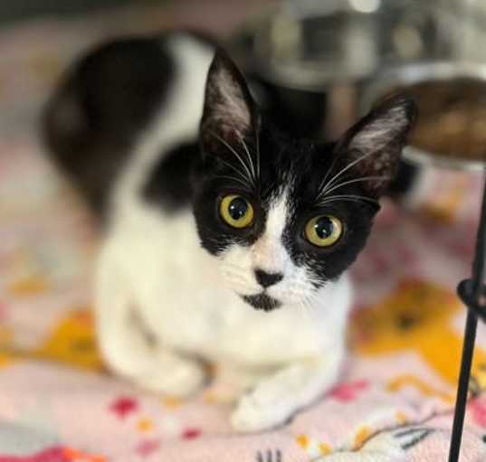 Photo of Amelia Rose