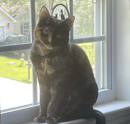 Photo of Riley