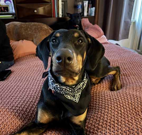 Photo of Gunther