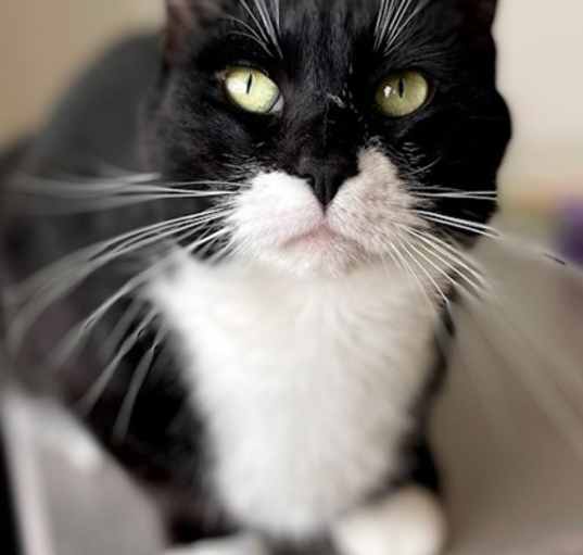 Photo of Sprinkles