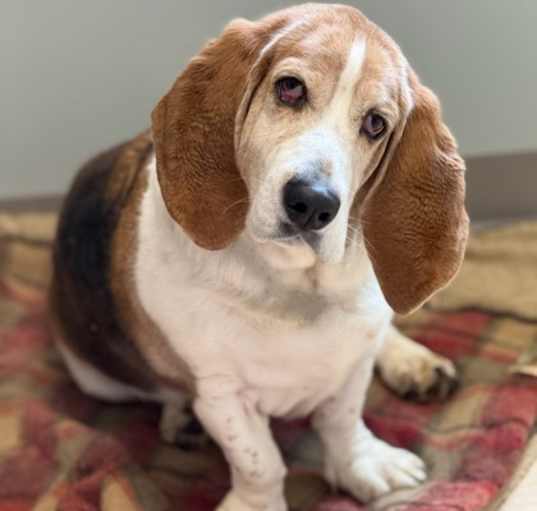 Photo of Artie