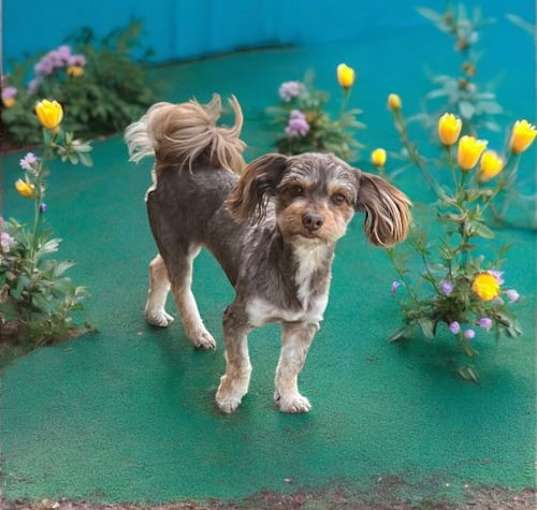 Photo of Alvin