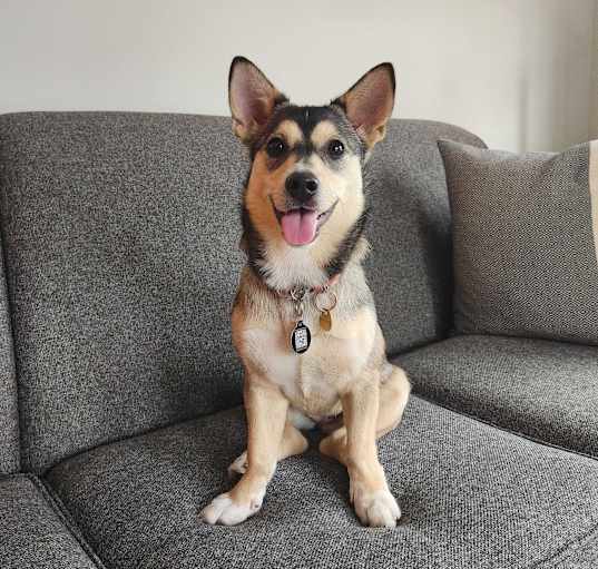 Photo of Ella