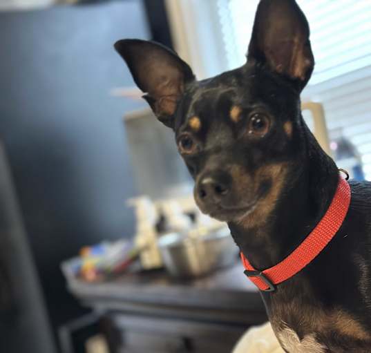 Photo of Tommy