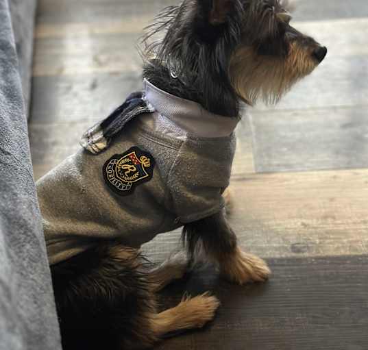 Photo of Daryl