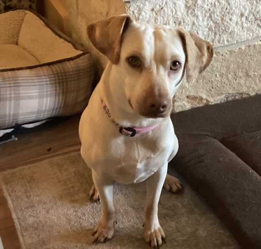 Photo of Fiona