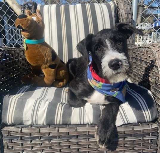 Photo of Bernard