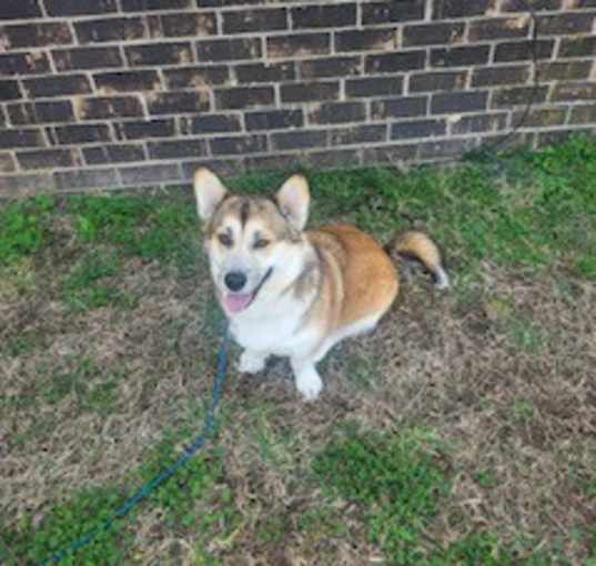 Photo of Luna