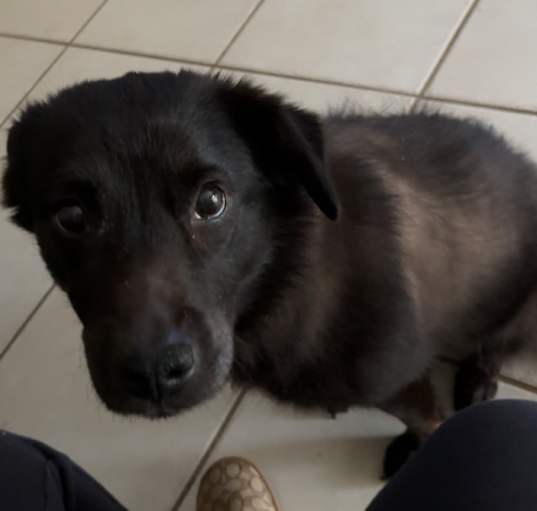 Photo of Bella