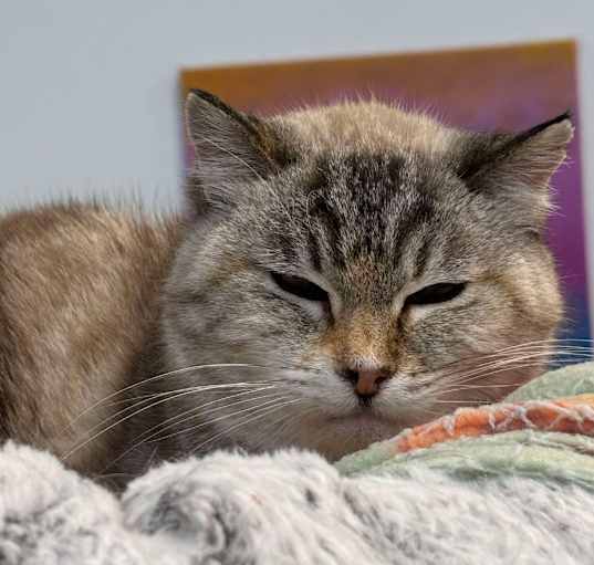 Photo of Wendy