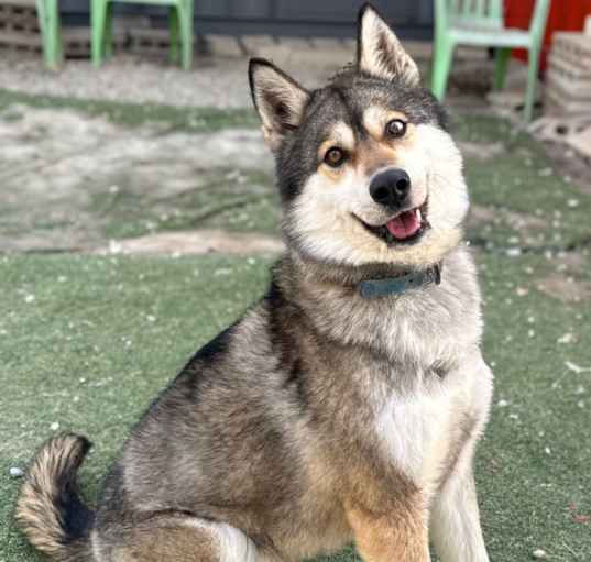 Photo of Elsa
