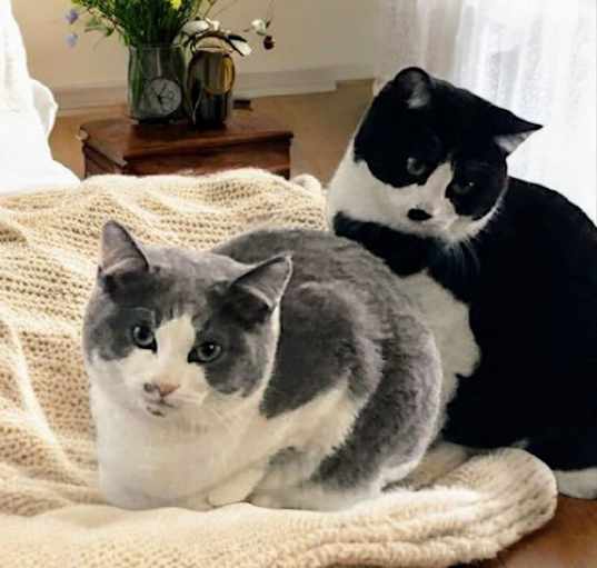 Photo of Corey & Tirzah