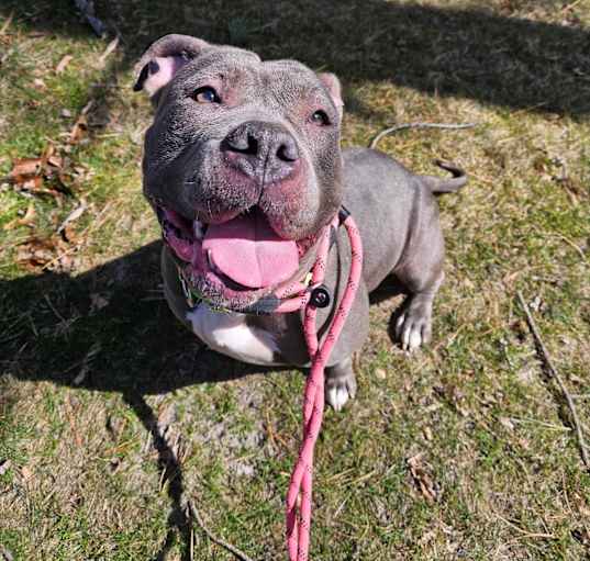 Photo of Indie