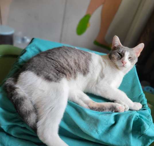 Photo of Surrayah