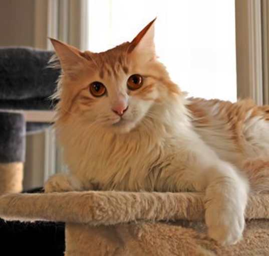 Photo of Lucinda Q