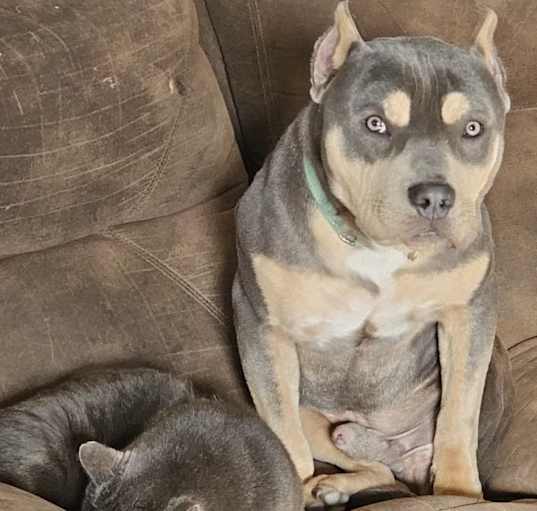 Photo of Snoop