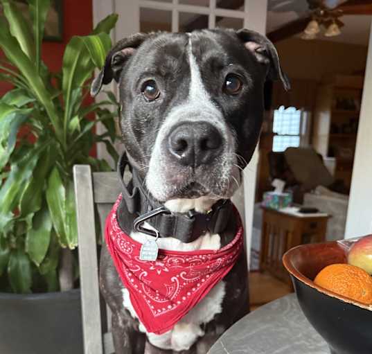 Photo of TUCKER