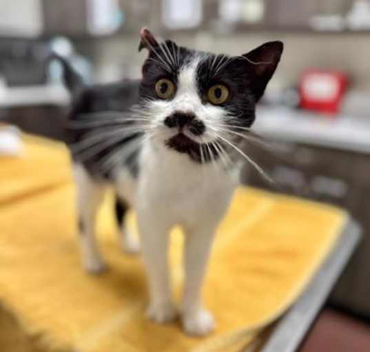 Photo of Charlie