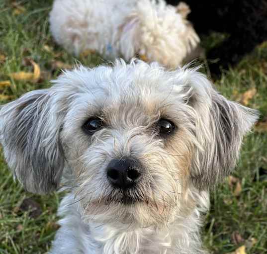 Photo of Kai