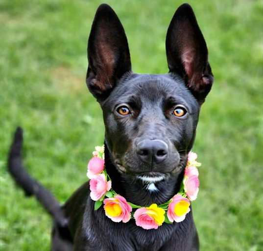 Photo of Lilah