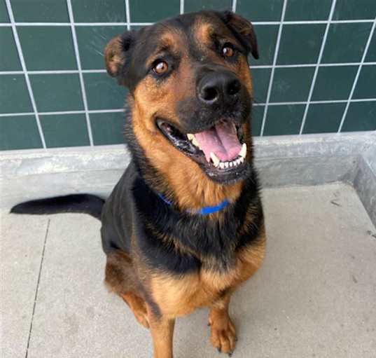Photo of WAFFLES
